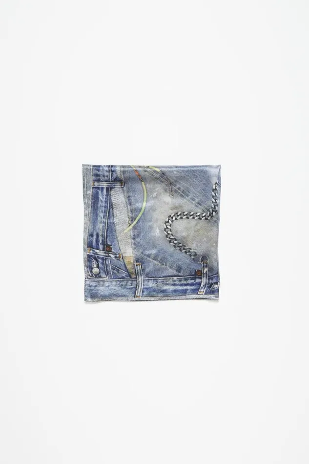Acne Studios Printed Silk Scarf Denim Blue Women Scarves