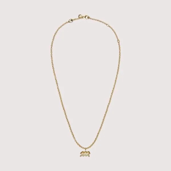 Aquarius Goldlattementa Women Coccinelle Bijoux