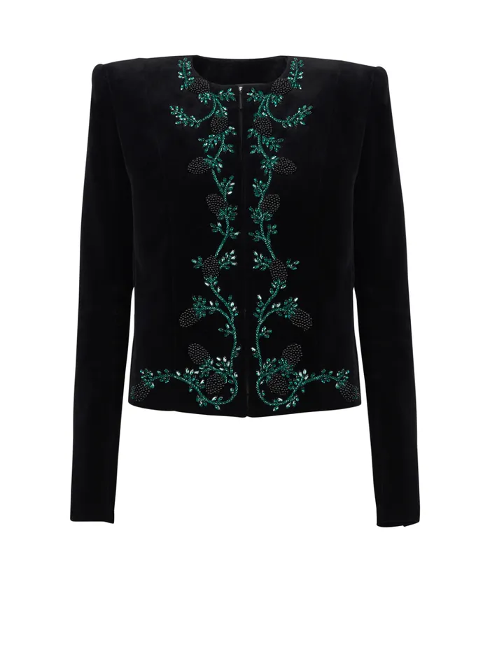 Blackberry Embroidered Velvet Jacket Black Women Balmain Jackets And Blazers