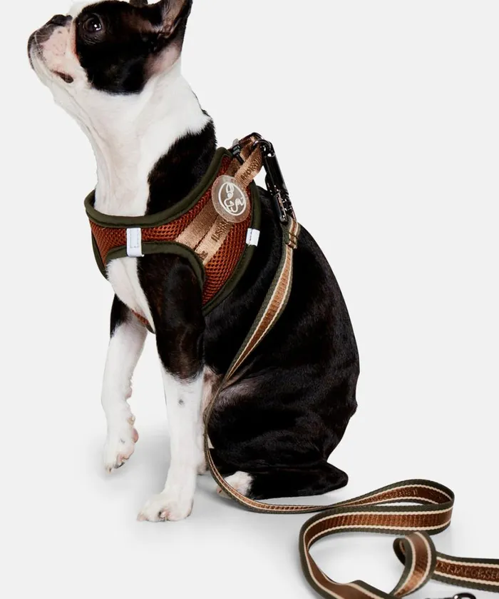 Dog Leash Short 8211 Army Accessories Ilse Jacobsen Vov and Vuf