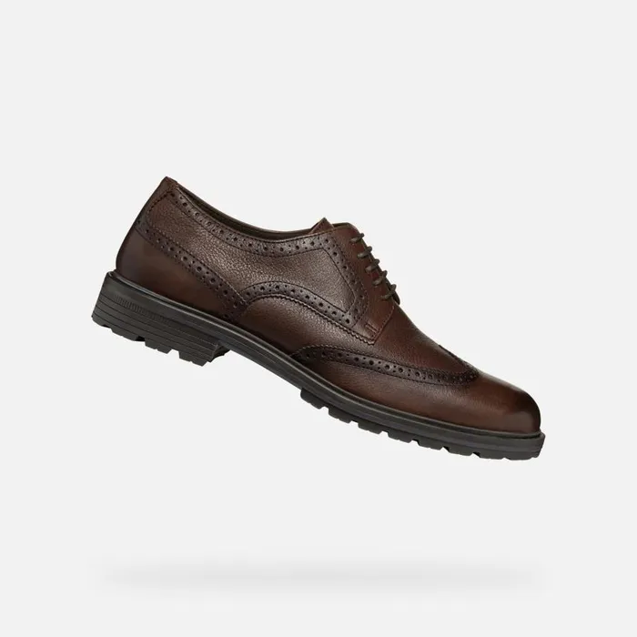 Man Geox Formal Shoes WALK PLEASURE C MAN Coffee Leather Shoes Coffee