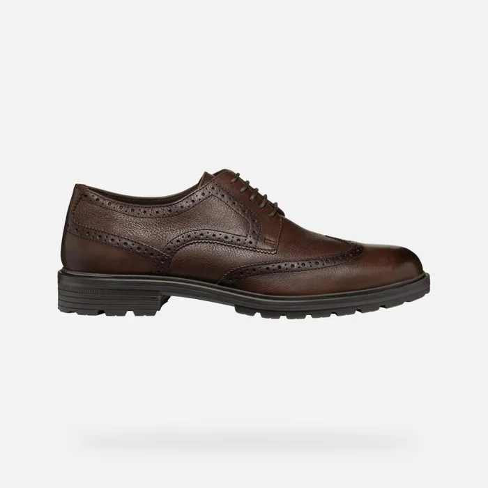 Man Geox Formal Shoes WALK PLEASURE C MAN Coffee Leather Shoes Coffee