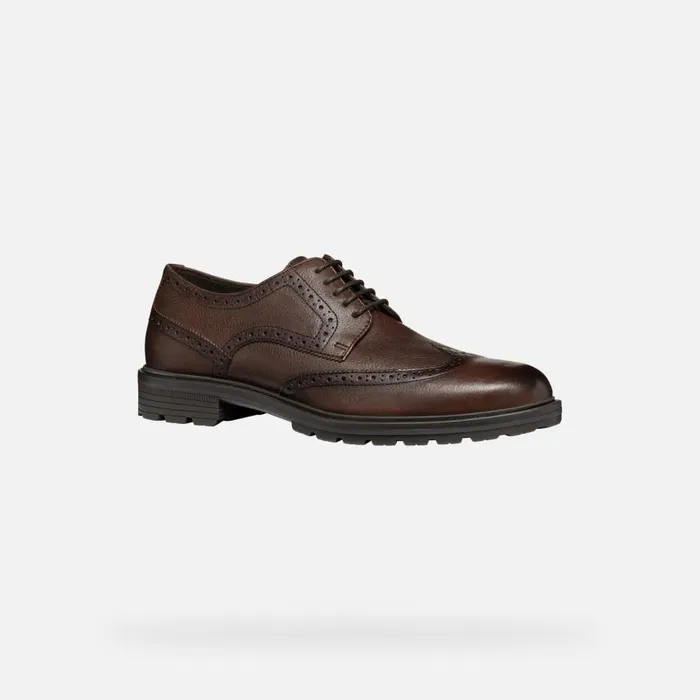 Man Geox Formal Shoes WALK PLEASURE C MAN Coffee Leather Shoes Coffee