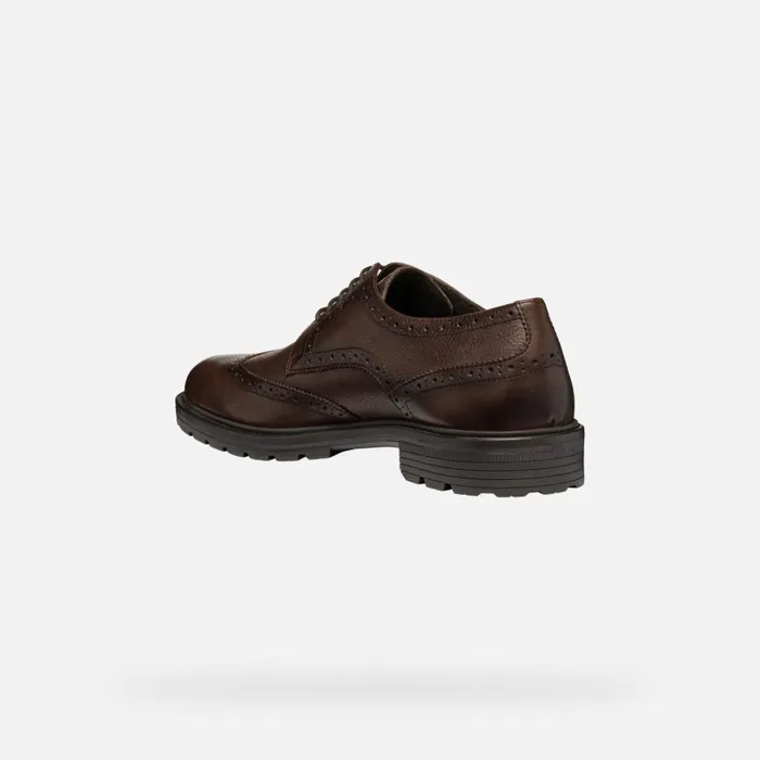 Man Geox Formal Shoes WALK PLEASURE C MAN Coffee Leather Shoes Coffee