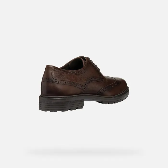 Man Geox Formal Shoes WALK PLEASURE C MAN Coffee Leather Shoes Coffee