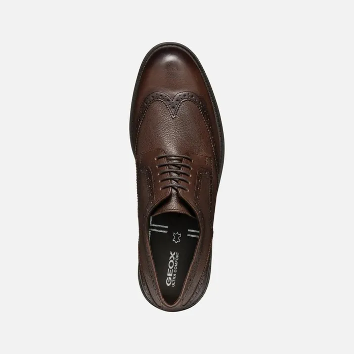 Man Geox Formal Shoes WALK PLEASURE C MAN Coffee Leather Shoes Coffee