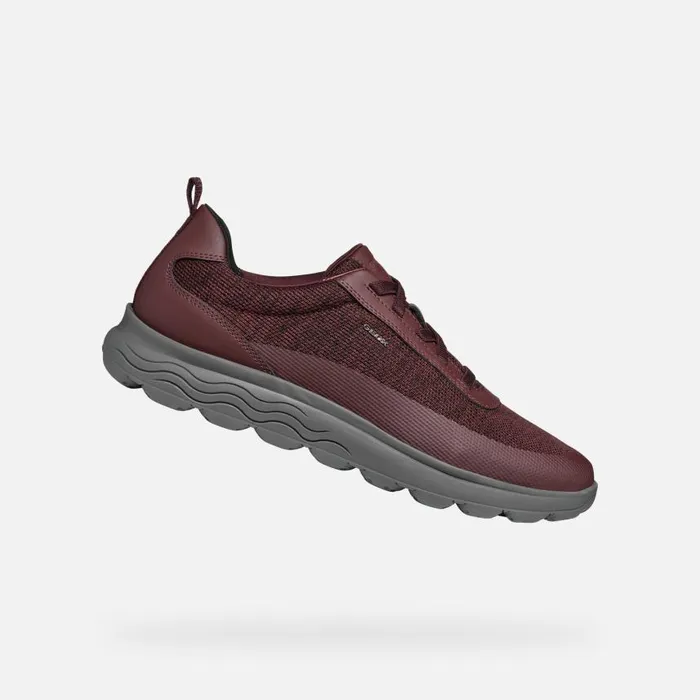 Man Geox Sneakers SPHERICA MAN Wine Low Top Sneakers Wine
