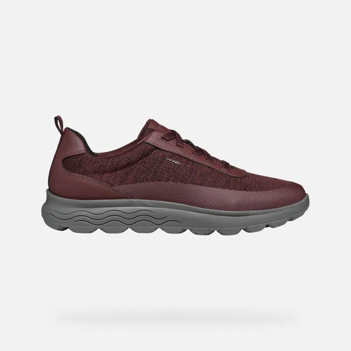 Man Geox Sneakers SPHERICA MAN Wine Low Top Sneakers Wine
