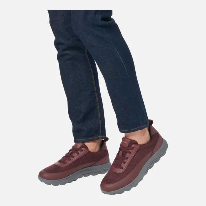 Man Geox Sneakers SPHERICA MAN Wine Low Top Sneakers Wine