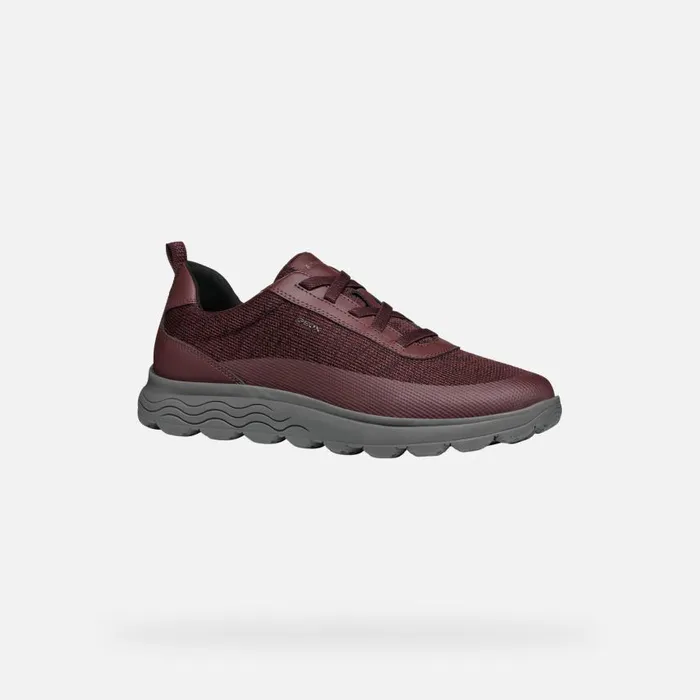 Man Geox Sneakers SPHERICA MAN Wine Low Top Sneakers Wine