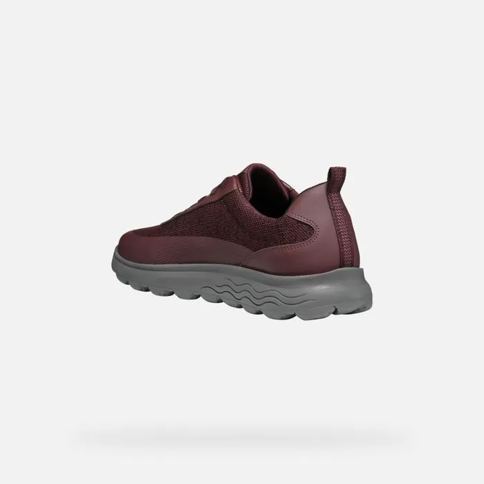 Man Geox Sneakers SPHERICA MAN Wine Low Top Sneakers Wine
