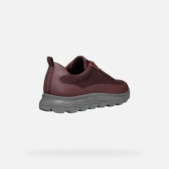 Man Geox Sneakers SPHERICA MAN Wine Low Top Sneakers Wine