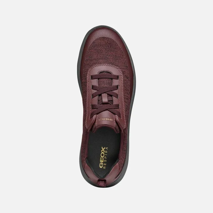 Man Geox Sneakers SPHERICA MAN Wine Low Top Sneakers Wine