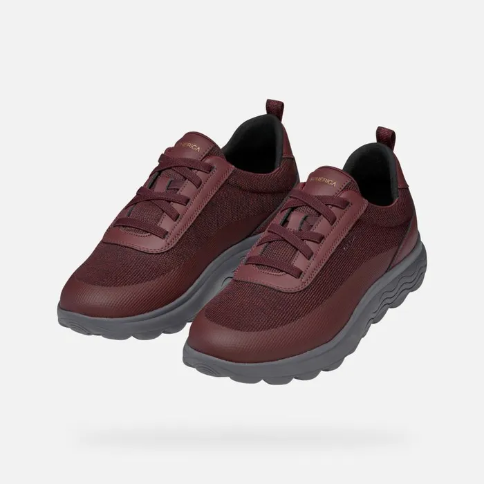 Man Geox Sneakers SPHERICA MAN Wine Low Top Sneakers Wine