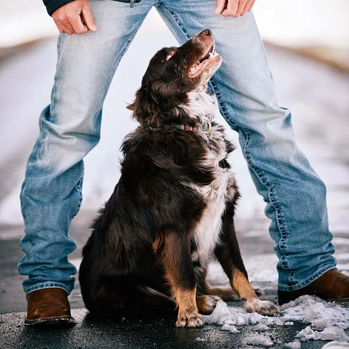 Men Denim Ariat M2 Relaxed Stirling Stretch Boot Cut Jean Shasta Men Denim Ariat M2 Relaxed Stirling Stretch Boot Cut Jean Shasta