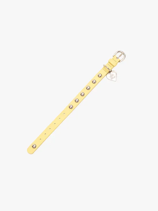 Pet Women Lisa Says Gah Dog Stud Collar Butter