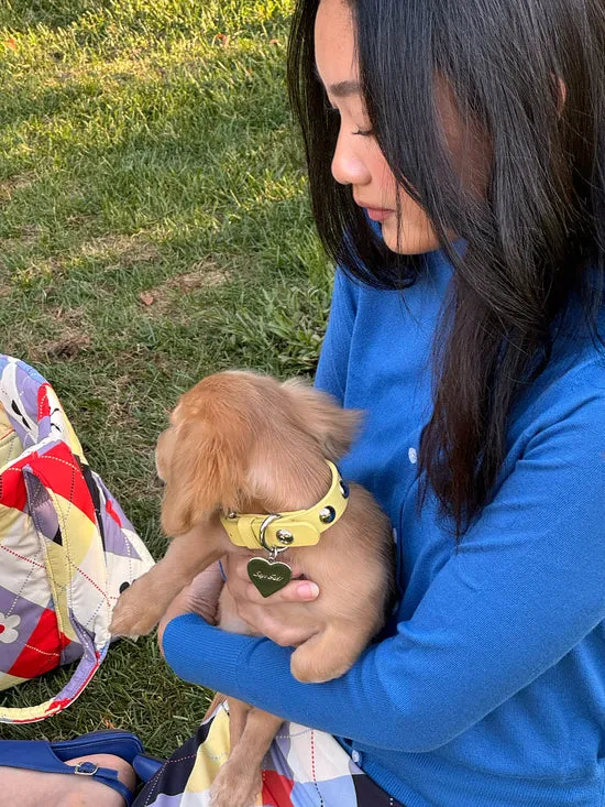 Pet Women Lisa Says Gah Dog Stud Collar Butter