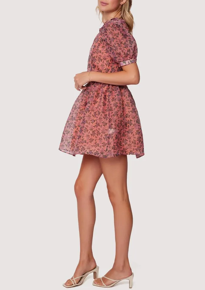 Venus Rising Mini Dress Pinkfloral Women Lost Wander Dresses