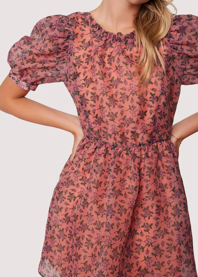 Venus Rising Mini Dress Pinkfloral Women Lost Wander Dresses