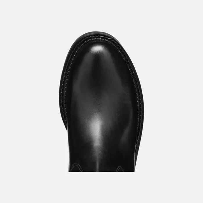 Woman Geox Boots SERILDA WOMAN Black Leather Boots Black