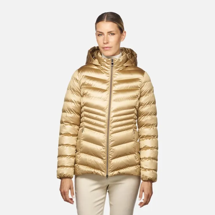 Woman Geox Jackets ZOSMA WOMAN Travertine Quilted Jacket Travertine