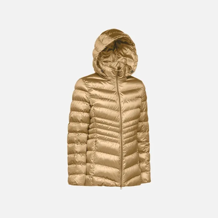 Woman Geox Jackets ZOSMA WOMAN Travertine Quilted Jacket Travertine