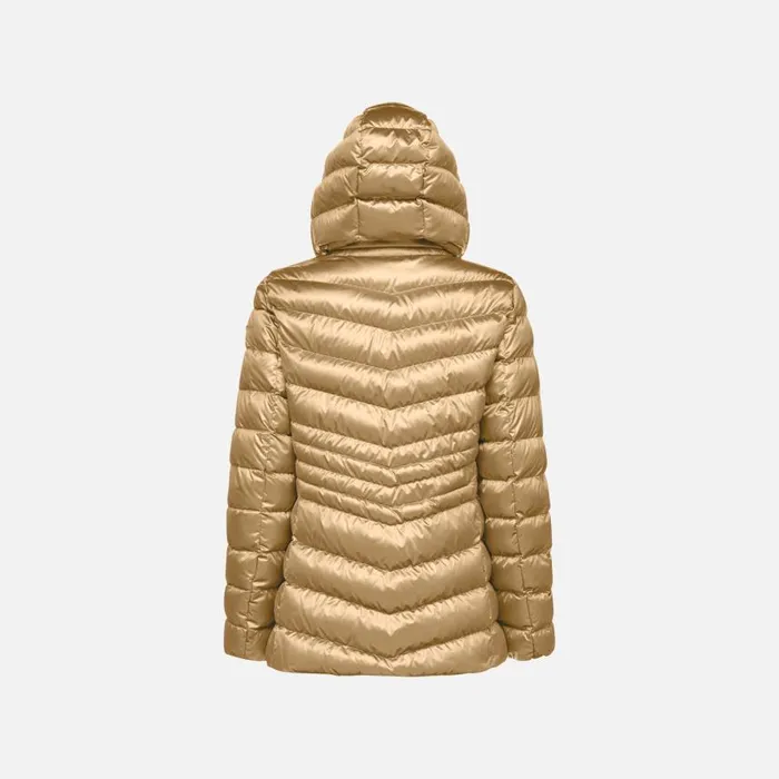 Woman Geox Jackets ZOSMA WOMAN Travertine Quilted Jacket Travertine