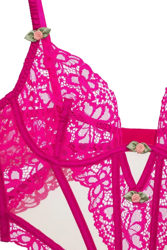 Women Butterfly Lace Teddy Pink For Love and Lemons Lingerie Women Butterfly Lace Teddy Pink For Love and Lemons Lingerie