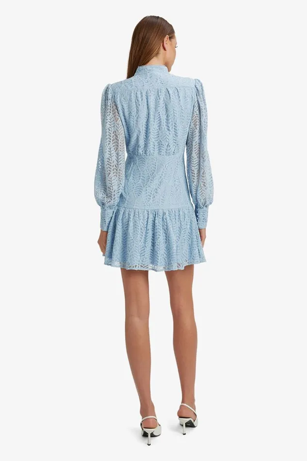 Women Day To Night Dresses Bardot Remy Lace Dress In Light Blue Light Blue Women Day To Night Dresses Bardot Remy Lace Dress In Light Blue Light Blue
