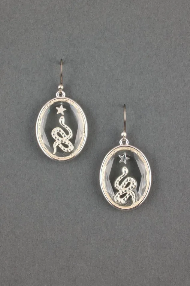 Women Lucky Brand Jewelry Snake Inlay Glass Earring Silver