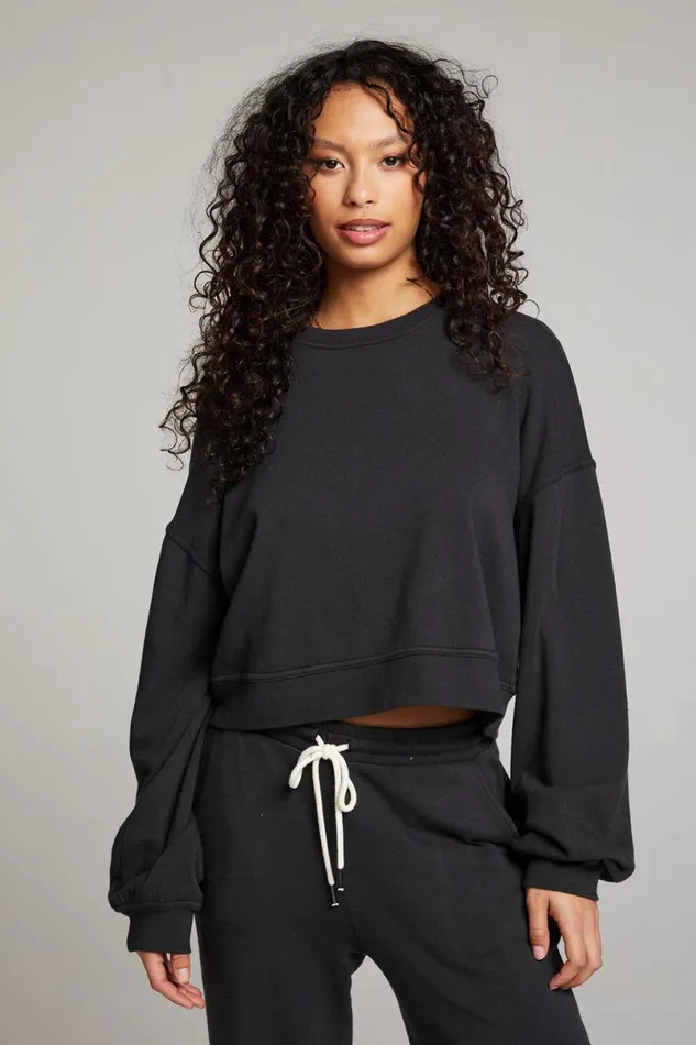 Womens Tops Chaser Brand Belly Licorice Pullover