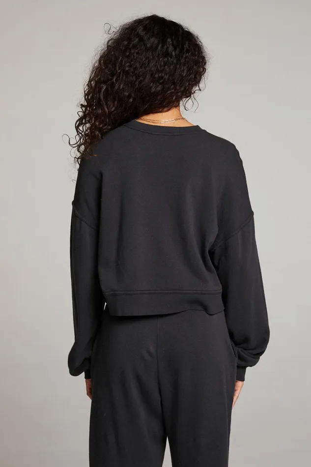 Womens Tops Chaser Brand Belly Licorice Pullover
