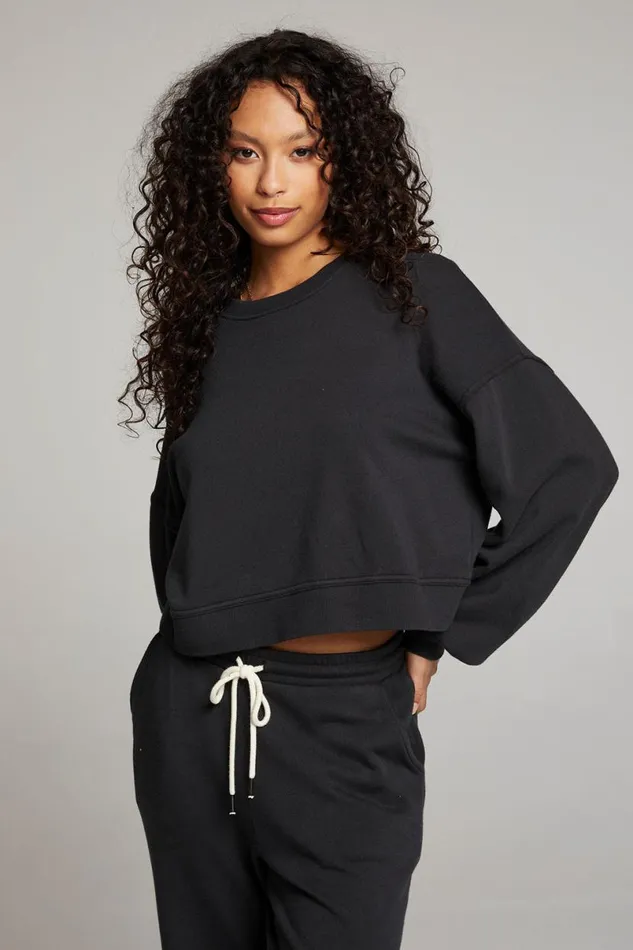 Womens Tops Chaser Brand Belly Licorice Pullover