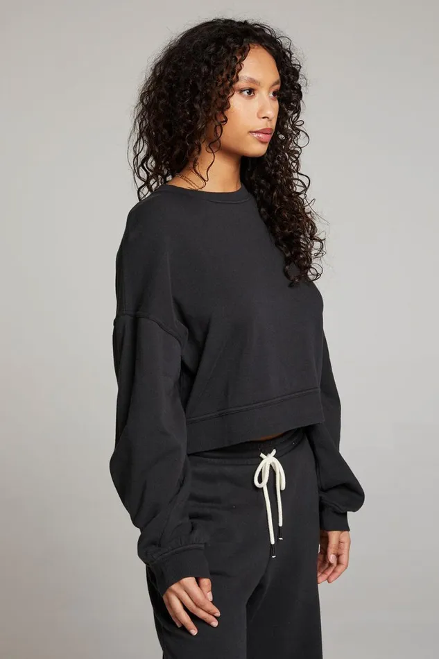 Womens Tops Chaser Brand Belly Licorice Pullover